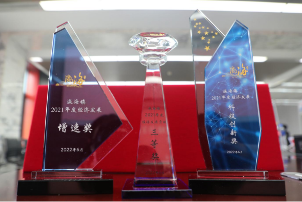 助力經(jīng)濟發(fā)展，美巢集團股份公司獲瀛海鎮(zhèn)經(jīng)濟發(fā)展三項大獎