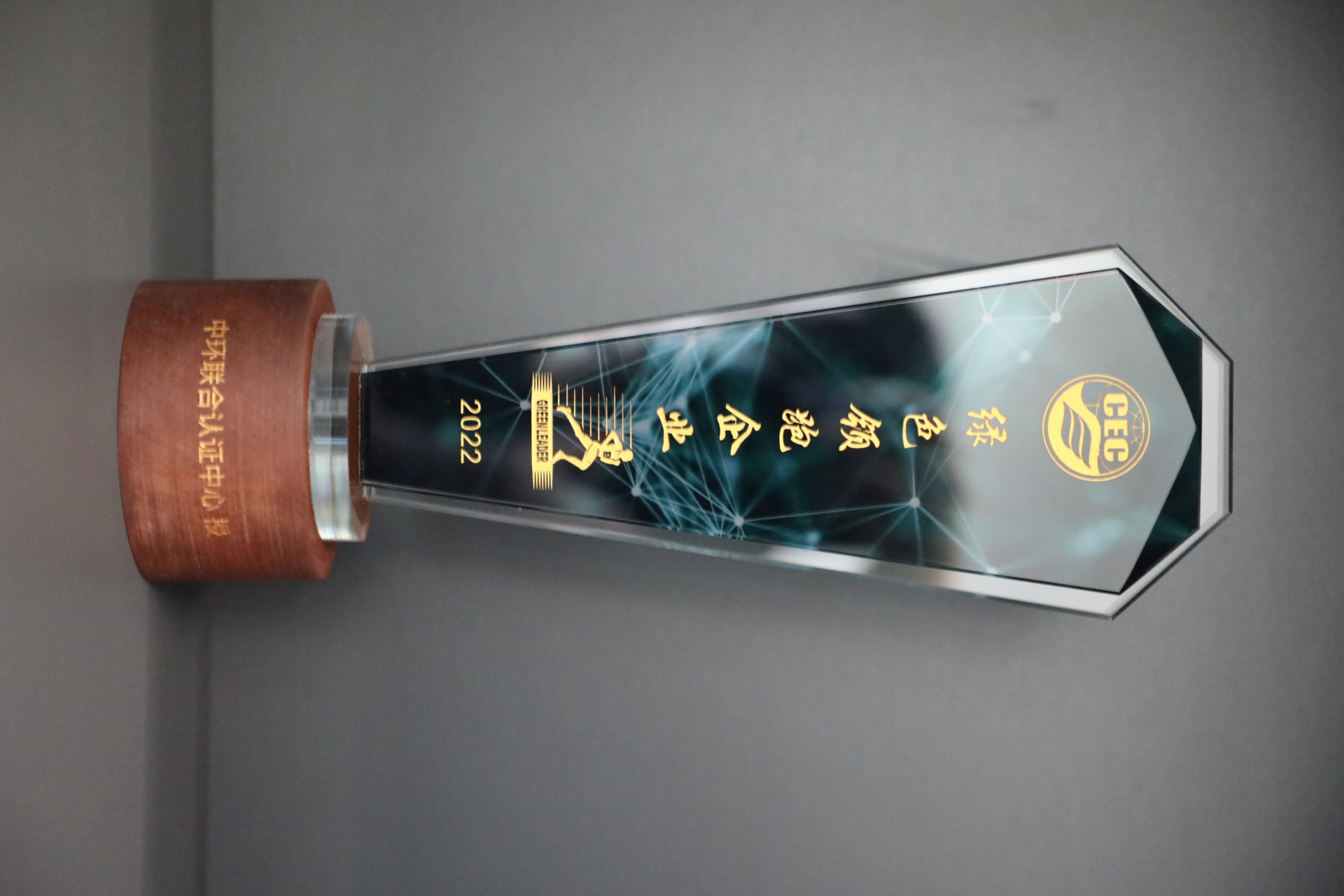 美巢深耕家裝環(huán)保輔料賽道，榮獲“綠色領跑企業(yè)”稱號